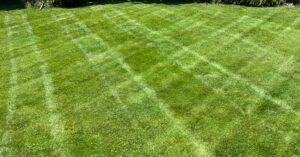 grass-maintenance